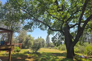 6880 Kahala Rd, Garden Valley, CA 95633 - Photo 47