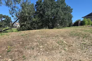 590 Blue Herron Ct, Valley Springs, CA 95252 - Photo 1