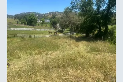 10678 Peoria Road, Browns Valley, CA 95918 - Photo 7