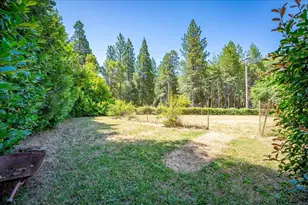 5991 Pond Dr, Foresthill, CA 95631 - Photo 37