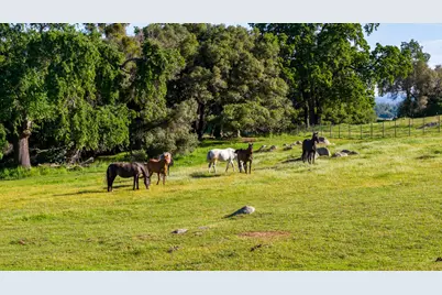 1992 Rabbit Ridge Road, Somerset, CA 95684 - Photo 85
