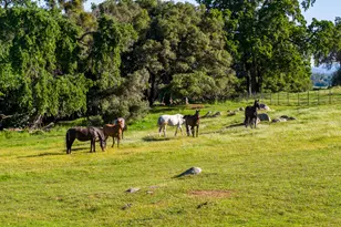 1992 Rabbit Ridge Rd, Somerset, CA 95684 - Photo 85