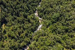 1992 Rabbit Ridge Rd, Somerset, CA 95684 - Photo 95