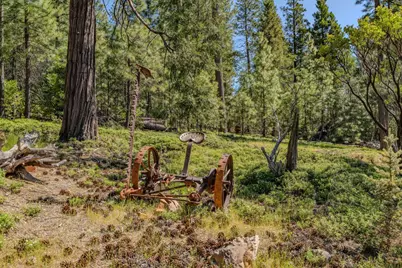 26340 Cedar Avenue, Pioneer, CA 95666 - Photo 31