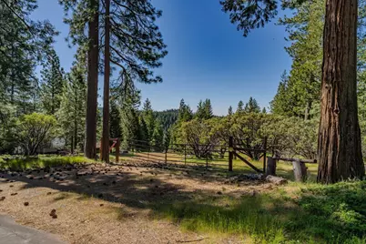26340 Cedar Avenue, Pioneer, CA 95666 - Photo 7