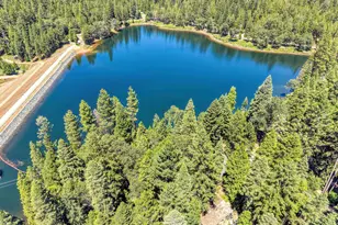 6237 Drop Off R, Pollock Pines, CA 95726 - Photo 5