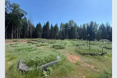 14940 Chalk Bluff Road, Nevada City, CA 95959 - Photo 21