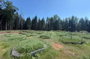 14940 Chalk Bluff Rd, Nevada City, CA 95959 - Photo 21