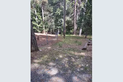 6461 Forest View Drive, Georgetown, CA 95634 - Photo 13