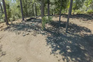 1479 Roaring Camp, Murphys, CA 95247 - Photo 39