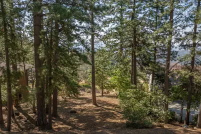 1262 Heather Drive, Murphys, CA 95247 - Photo 9