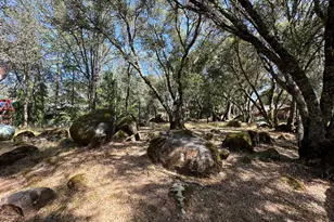 11457 Sandpiper Way, Penn Valley, CA 95946 - Photo 17