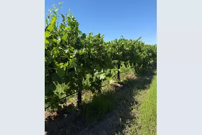 0 Walnut Grove Road, Thornton, CA 95686 - Photo 1