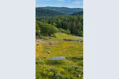 4850 Eight Mile Road, Camino, CA 95709 - Photo 21