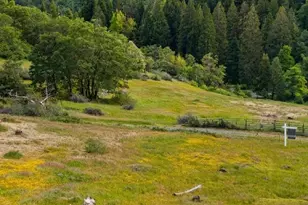 4850 8 Mile Rd, Camino, CA 95709 - Photo 21