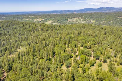 6420 Starkes Grade Road, Pollock Pines, CA 95726 - Photo 49