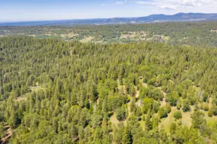 6420 Starkes Grade Rd, Pollock Pines, CA 95726 - Photo 49