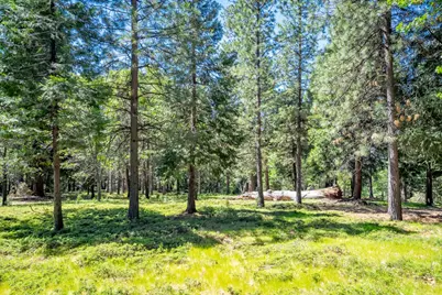 6420 Starkes Grade Road, Pollock Pines, CA 95726 - Photo 57
