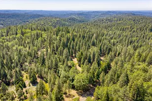 6420 Starkes Grade Rd, Pollock Pines, CA 95726 - Photo 39