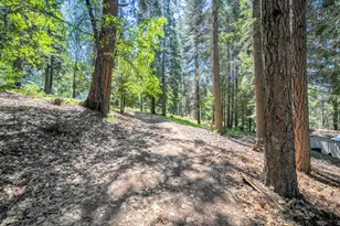 6420 Starkes Grade Rd, Pollock Pines, CA 95726 - Photo 31