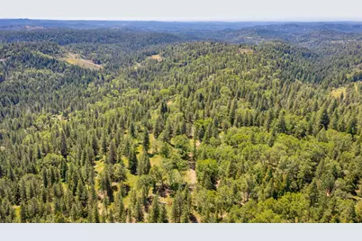 6420 Starkes Grade Road, Pollock Pines, CA 95726 - Photo 41