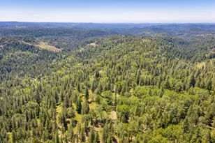 6420 Starkes Grade Rd, Pollock Pines, CA 95726 - Photo 41