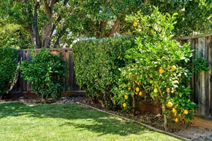 1397 Maplewood Dr, Livermore, CA 94551 - Photo 31