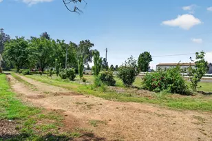 11861 Clay Station Rd, Herald, CA 95638 - Photo 53