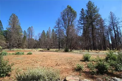 8746 Skyway, Paradise, CA 95969 - Photo 3