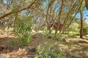 11631 Redwing Ct, Penn Valley, CA 95946 - Photo 5