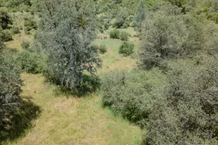 5912 Old Gulch Rd, San Andreas, CA 95249 - Photo 51