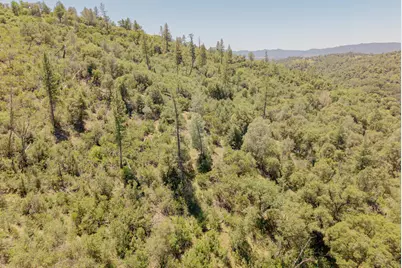 5912 Old Gulch Rd, San Andreas, CA 95249 - Photo 71