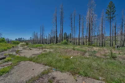 7425 Winding Way, Grizzly Flats, CA 95636 - Photo 9