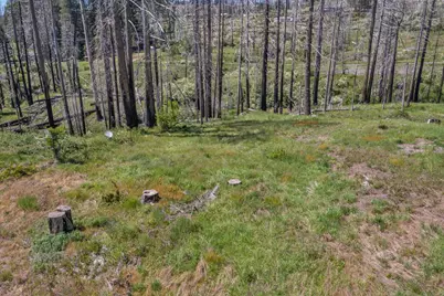 7425 Winding Way, Grizzly Flats, CA 95636 - Photo 19