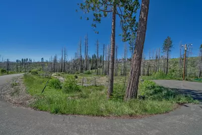 7425 Winding Way, Grizzly Flats, CA 95636 - Photo 11
