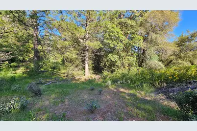 0 N Canyon Way Way, Colfax, CA 95713 - Photo 5