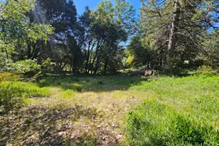 0 N Canyon Way Way, Colfax, CA 95713 - Photo 1
