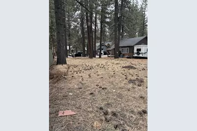 2495 Chris Avenue, South Lake Tahoe, CA 96150 - Photo 5