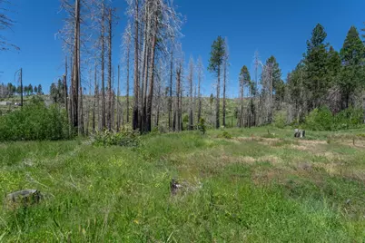 0 Winding Way Court, Grizzly Flats, CA 95636 - Photo 13