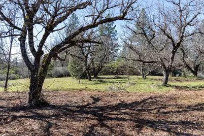 6281 Bear Creek Road, Garden Valley, CA 95633 - Photo 47