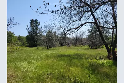 6281 Bear Creek Road, Garden Valley, CA 95633 - Photo 49