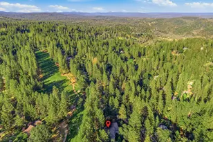15954 Gary Way, Grass Valley, CA 95949 - Photo 77