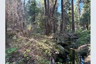 184 Creekside Drive, Camp Connell, CA 95223 - Photo 3