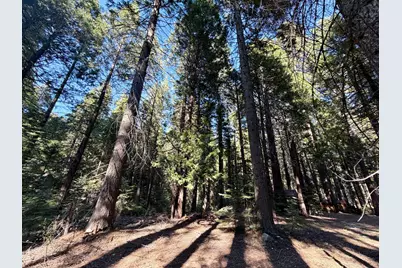 184 Creekside Drive, Camp Connell, CA 95223 - Photo 5