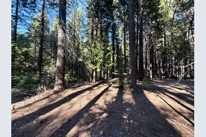 184 Creekside Drive, Camp Connell, CA 95223 - Photo 1