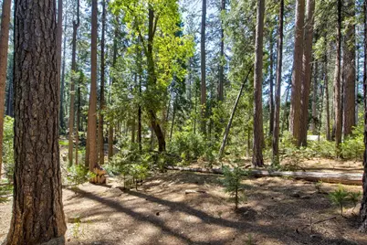 2677 Country Club Drive, Arnold, CA 95223 - Photo 49