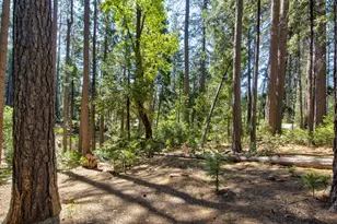 2677 Country Club Dr, Arnold, CA 95223 - Photo 49