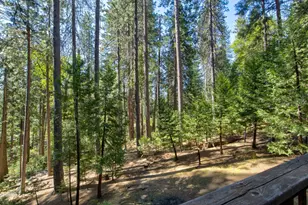 2677 Country Club Dr, Arnold, CA 95223 - Photo 45