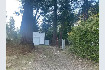 11314 Squirrel Creek Road, Grass Valley, CA 95945 - Photo 3
