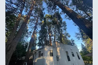 11314 Squirrel Creek Road, Grass Valley, CA 95945 - Photo 11